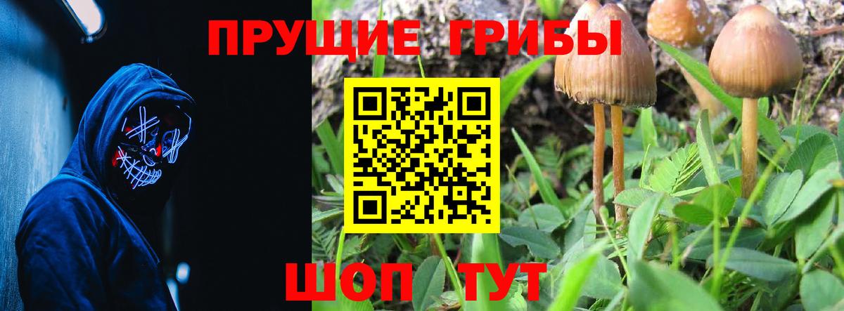 Псилоцибиновые грибы MAGIC MUSHROOMS  Вход с VPN  Ржев 